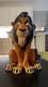 2026 Disney Parks Scar Popcorn Bucket Animal Kingdom Lion King Limited Edition