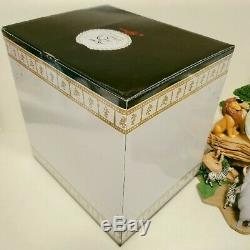 25th Anniversary Disney Lion King Snow Dome Snow Globe Music Box (Super Rare)8