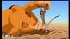 Best Part Of The Lion King Hakuna Matata