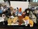 Disney Beanies Lion King Lot Of 12