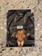 Disney Bobby Kim Hundreds Lion King Scar T-shirt Small In Hand