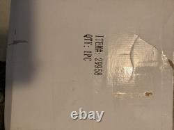 Disney Lion King 10th Anniversary snow globe new with box