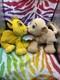 Disney Lion King Sweetheart Simba & Nala Kissing Plush Set With Necklaces 2002