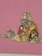Disney Pin 2024 Pride Rock Mystery 30th Anniversary Lion King Pin Set
