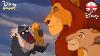 Disney Sing Alongs Circle Of Life The Lion King Lyric Video Official Disney Uk