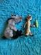 Disney Store Exclusive Lion King Hyena Banzai 15 & Timon Stamped Plush Rare