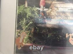 Disney Toons at Enchanted Tiki Room Jungle Book Lion King Framed Pin Set LE 50