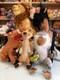 Disney Stamped Lion King Scar Mufasa Pumbaa Timon Rafiki Plush Soft Toy Teddy