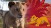I Just Can T Wait To Be King The Lion King Video Clip 1994 Soundtrack 2019