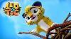 Leo And Tig Best Episodes Funny Family Good Animated Cartoon For Kids