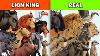 Lion King Characters Vs Real World Animals Compared