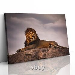 Lion on Pride Rock Canvas Print Picture Framed Wall Art Poster Paper Lion King