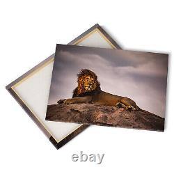 Lion on Pride Rock Canvas Print Picture Framed Wall Art Poster Paper Lion King
