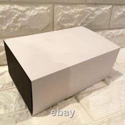 Mitsukoshi 350th Anniversary Disney Lion King Lion Statue Pair Glass Set New