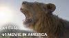 Mufasa The Lion King 1 Movie In America In Theaters Now