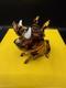 New 100% Swarovski Crystal Disney The Lion King Pumbaa Figurine Display 5681582