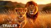 The Lion King 3 2026 First Look Trailer Disney Studios