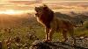 The Lion King Full Movie In Hindi English Telugu Tamil 2019 4k Technuz Nitin Dance Steps