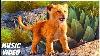 The Lion King Hakuna Matata In 28 Languages Official Promo Song New 2019 Disney Live Action Hd