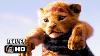 The Lion King Official Trailer 1 2019 Disney Live Action Movie Hd