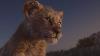 The Lion King Trailer Nl Ondertiteld Disney Nl