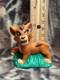 Very Rare! Vintage Disney The Lion King Ii Simbas Pride Kovu Figure Put N Play
