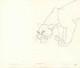 Walt Disney The Lion King  Original Production Drawing Animation Art Page