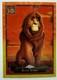 2024 Topps Chrome Disney Roi Simba #lk-10 Vague Orange 16/30 Le Roi Lion