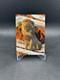 2025 Topps Chrome Disney Mufasa R&eacute;fracteur Lava /15 Le Roi Lion