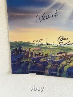 Affiche originale du film Disney Le Roi Lion signée par le casting et l'équipe avec COA SWAU