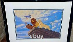 Disney Cel Le Roi Lion Une Nouvelle Fierté Animation Art Rare Cell