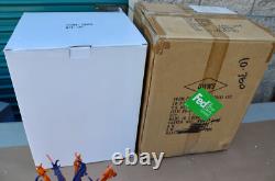 Disney Le Roi Lion Je ne peux pas attendre d'être roi 10e anniversaire boule à neige endommagée