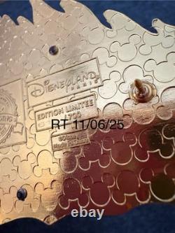 Disneyland Paris Épingle du Roi Lion Simba Scar Édition Limitée LE700 Neuve