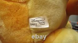 Grand Simba en peluche de 22 pouces du Roi Lion de Disneyland Paris 2007 en fantastique état