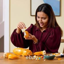 LEGO Disney Jeune Simba le Roi Lion set