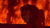 Le Roi Lion 1994 Simba Contre Scar Hd Ré-uploadé