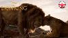 Le Roi Lion 2019 Vrai Roi Tv Ad Officiel Disney Royaume-uni