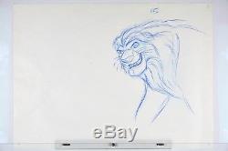 Le Roi Lion Mufasa Disney Animation Dessin Original De Production