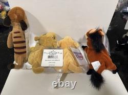 Lot de 12 bonnets Disney Le Roi Lion