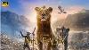 Mufasa Le Roi Lion Film Le Roi Lion 2 Critique Et Faits D'aaron Pierre