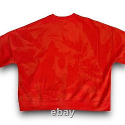 Parks Disney Le Roi Lion 30e Anniversaire Pull-over Neuf Taille Medium 2024