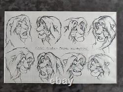 Photocopie des dessins de production du studio Disney Lion King