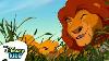 Sagesse Du Rocher De La Fiert&eacute; Le Roi Lion Disneykids
