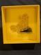 Swarovski Crystal Disney Le Roi Lion Simba Neuf En Bo&icirc;te