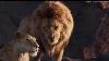 The Lion King 2019 Full Movie The Lion King Full Movie Hindi Dubbed Lionking2019
