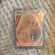 Topps Chrome Disney 2025 Le Roi Lion Nala Cne-42 Carte Parall&egrave;le/variante