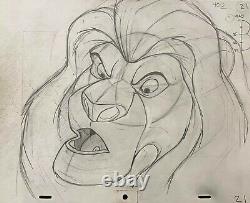 Walt Disney Animation Art Production Dessin De Mufasa Du Roi Lion